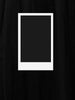 black pantone shade